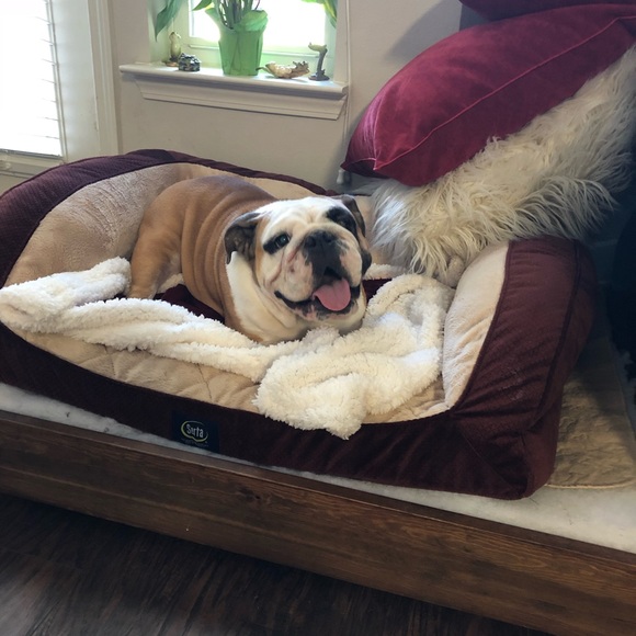 Meet your Posher, Candice - Picture 7 of 12